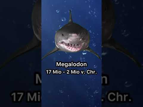 What if he's still alive?🤯🤯