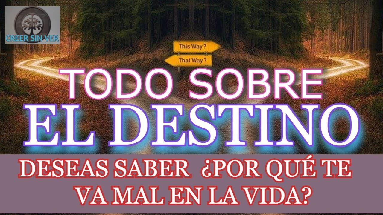 DESTINY: What No One Told You and You Should Know