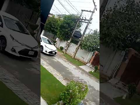 sohani subah mania ka sath /A beautifull morning with mania /@Bubuz lifestyle9112 /