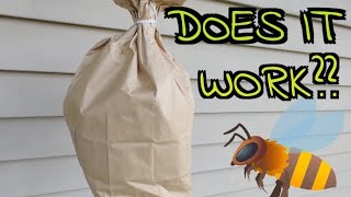 Keep Away Wasps, Hornets, and Bees - (Does a Paper Bag Work?)