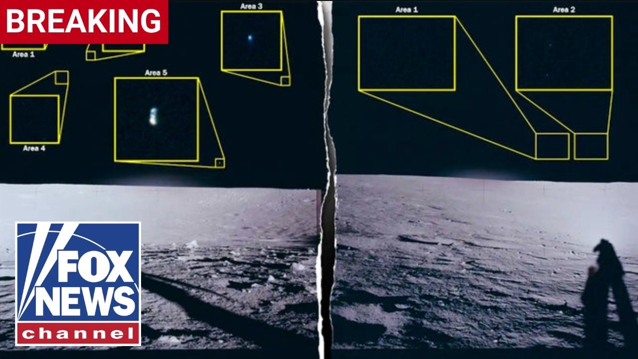 Trump Releases the First Batch of UFO and Alien Life Files