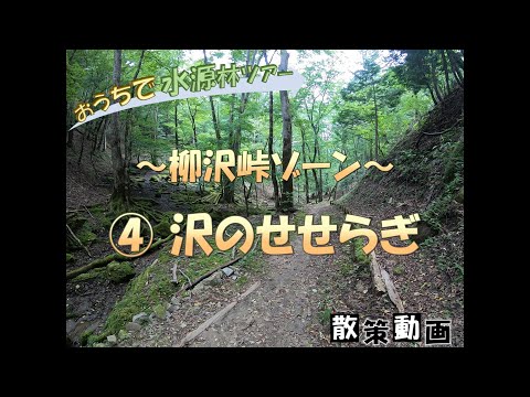 【おうちで水源林ツアー】 ～柳沢峠ゾーン～ ④沢のせせらぎ