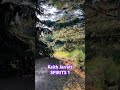 Keith Jarrett - SPIRITS 1 #keithjarrett #forest #light #meditation #soothing #ecm
