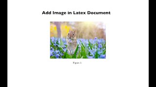 How to add image in latex document - Overleaf
