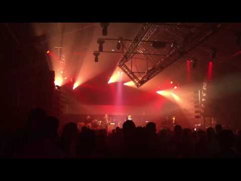 Daan live @ Strandfuif Glabbeek 2016