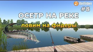 Осетр где ловить в украине