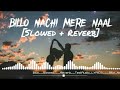 Billo Nachi Mere Naal Dj Remix Slowed Reverb TextAudio LYRICS Billo Nachi Mere Naal Lofi