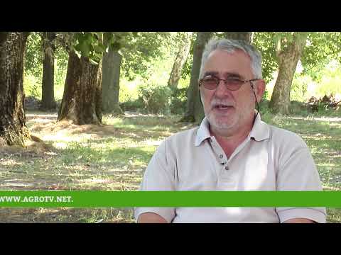 Reč struke ep. 192 31.07.2018. - Faktori koji utiču na proizvodnju mleka