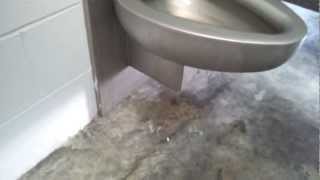 preview picture of video 'MERRY CHRISTMAS Bathroom Tour! Bradley Stainless Steel Toilet at Chincoteague Island Marina'