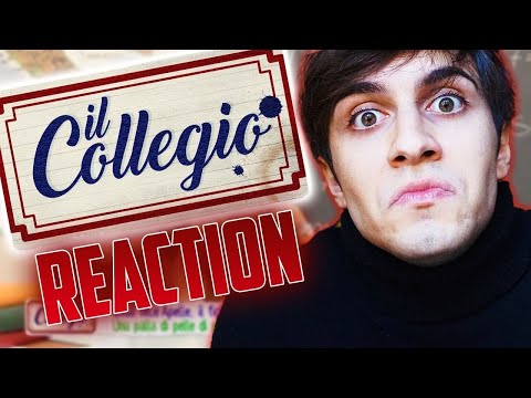 REACTION AL COLLEGIO 6