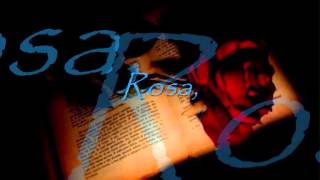 The feeling - Rose (Traduzione Italiana)