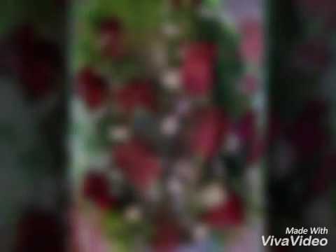 Amor Cristalino..E...H.