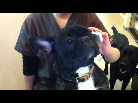 きいち社長電話応対