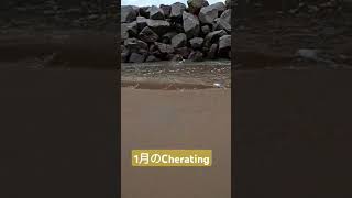【マレーシア】東海岸パハン州のチェラティンビーチ　※雨季で曇天ですCherating #beach #waves #travel #ocean #nature #マレーシア