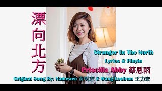 (Lyrics & Pinyin) 漂向北方 - Stranger In The North By Priscilla Abby 蔡恩雨 (黃明志 Namewee) HD