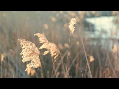 A walk around Škocjanski zatok in Slovenia