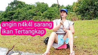 Download lagu Bonus pemandangan muara sungai yang kalian incar😍 Mancing mania mp3 Download lagu Bonus pemandangan muara sungai yang kalian incar😍 Mancing mania mp3