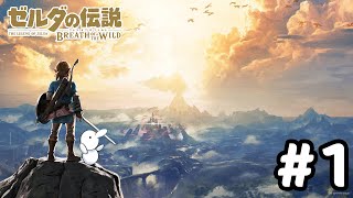 【実況】オープンワールドの伝説のゲーム【ゼルダの伝説ブレスオブザワイルド】#1：旅立ち