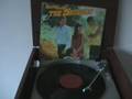 The Seekers - Lemon Tree