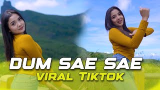 Download lagu DJ DUM SAE SAE - VIRAL TIKTOK mp3