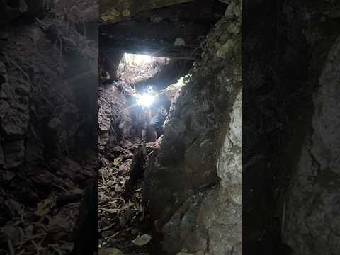 Campamento Guerrillero en las Montañas de Morazán #elsalvador #morazán #guerrilla