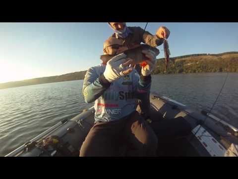 Nistru Biban 750g   Percas Striker 2 5`