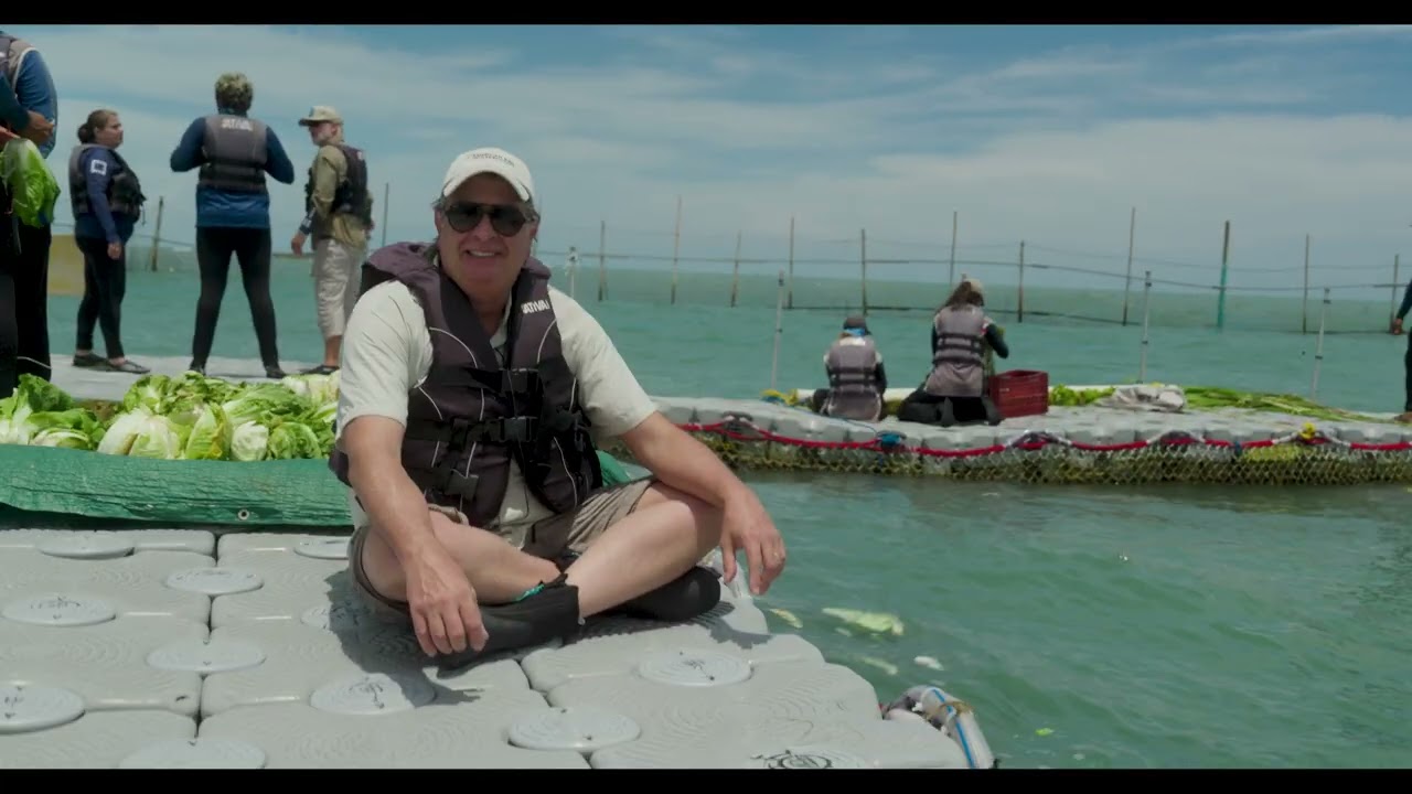 Thumbnail of the video