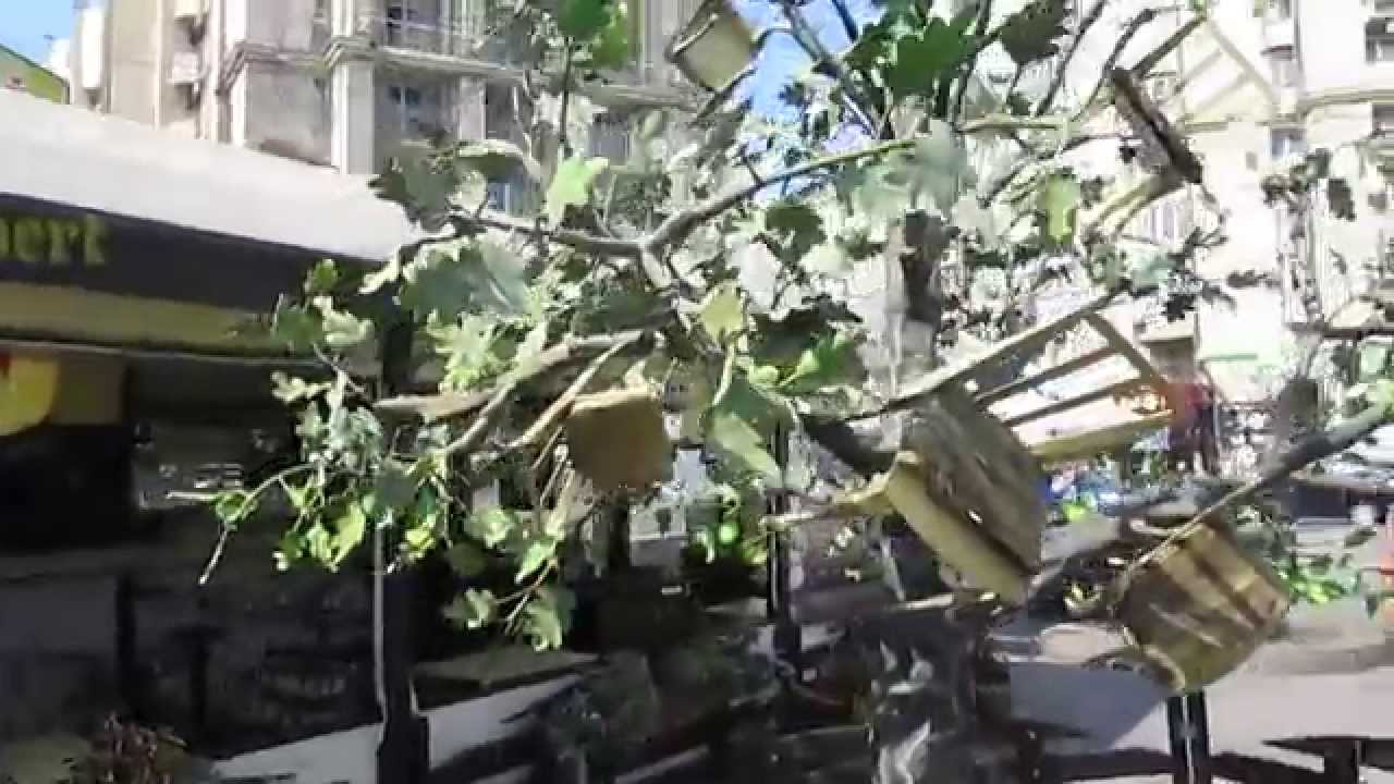 Корисне відео