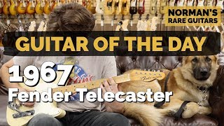 Video thumbnail for Guitar of the Day: 1967 Fender Telecaster | Norman's Rare Guitars by Normans Rare Guitars