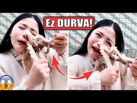 hogyan lehet ellenőrizni hogy férgeket eszik e