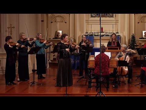 Vivaldi: Winter (the Four Seasons), Largo; Cynthia Freivogel & Voices of Music RV 297 4K UHD