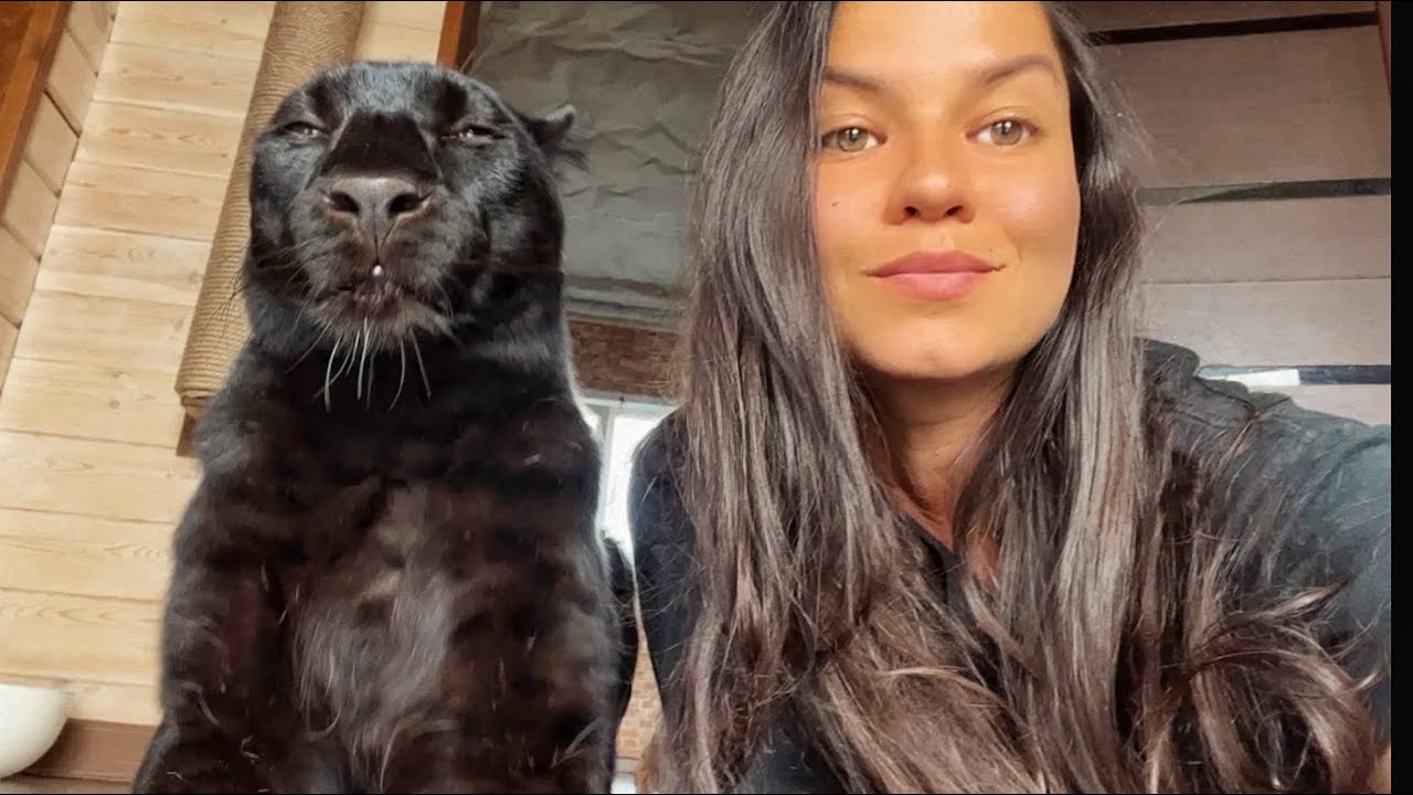 Replenishing supplies with Luna the panther😸(ENG SUB)