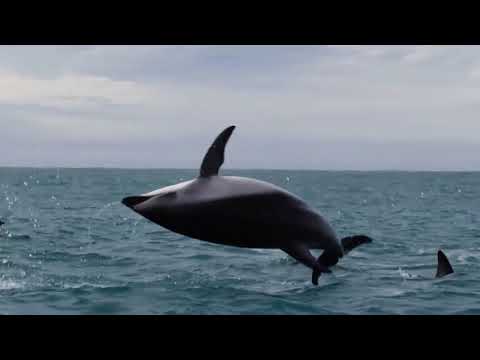 Nudhaashey Helligen - Moosa Shifau