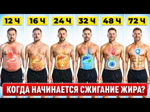 12–72  ЧАСА БЕЗ ЕДЫ? Что реально происходит внутри вас (по часам)