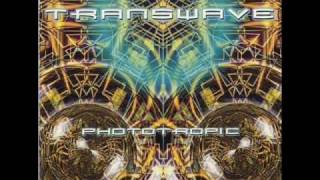 Transwave - Phototropic