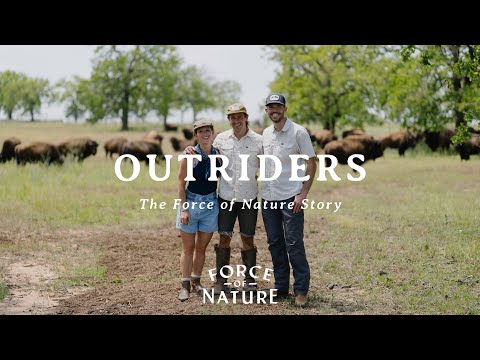 Outriders: The Force of Nature Story