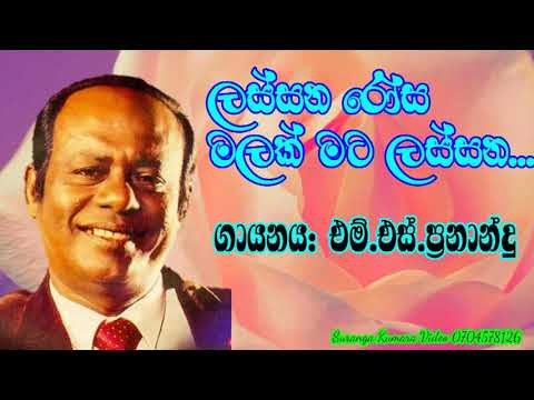 Ms Fernando Song ..ලස්සන රෝස මලක් මට ලස්සන නෑ