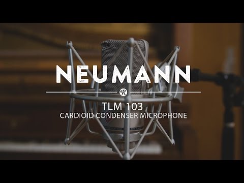 Neumann TLM103 Microphone In Case w Box And Mount image 9