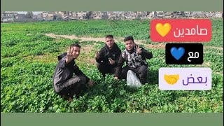 استحلفكم بالله تشاهدوا الفيديو كاملاً من غزة وشكرا