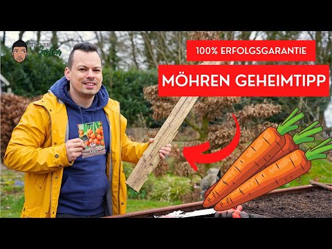, title : 'Möhren Aussaat mit 100% Keimgarantie   Mein Geheimtipp'