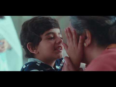 HRITU DUDANI patanjali h...