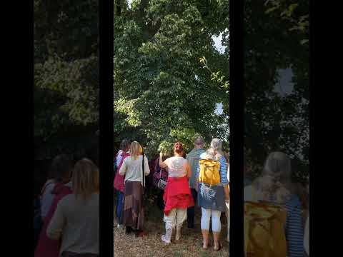 Blütenbilder Ausstellung