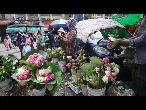 Morning Daily Life Style @Tuol Sangke Market - Morning Food Market Scene at PhsaTuol Sangke
