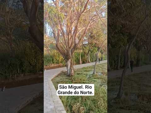 São Miguel, Rio Grande do Norte #shorts