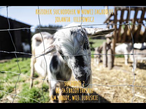 Koziołek Suchodołek - zagroda edukacyjna.