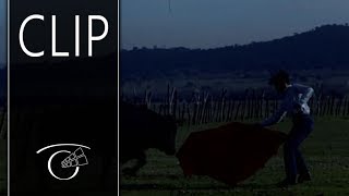 Nuevo en esta plaza - Clip