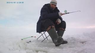 Ловля берша на тюльку зимой снасти
