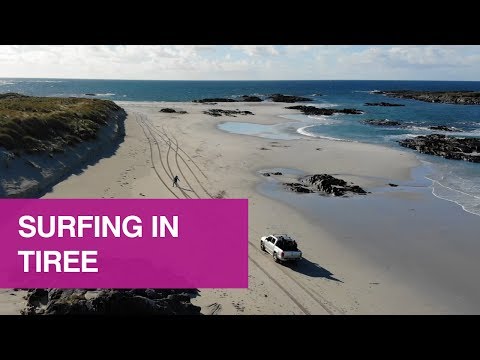 download lagu mp3 mp4 Surfing Glasgow, download lagu Surfing Glasgow gratis, unduh video klip Surfing Glasgow