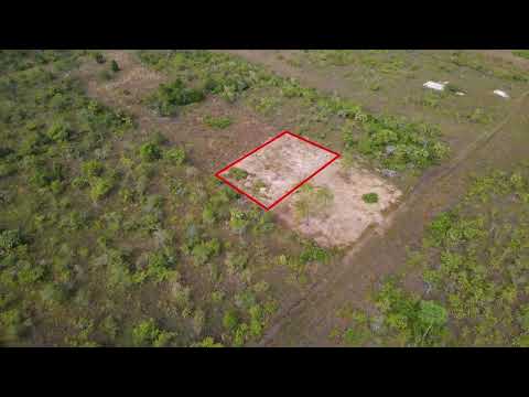 img-video