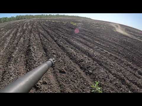 Helicopter Pig Shooting / Hunting Australia